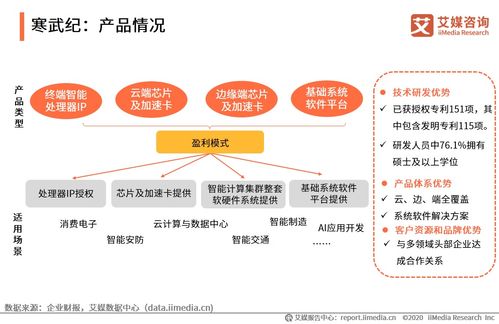 2020上半年中國人工智能芯片行業研究報告與技術交流