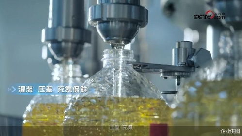 央視網探訪多力安心工廠 揭秘降低油煙技術專利背后的創新奧秘